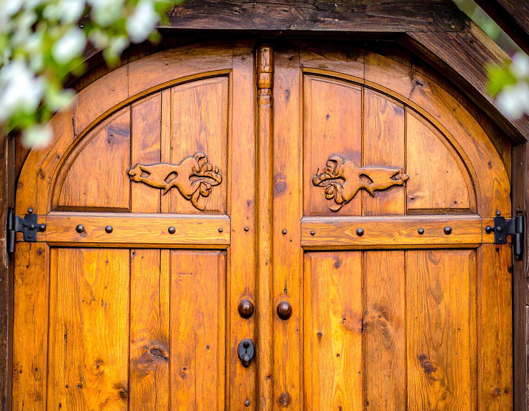 heart-of-oaks–slider1 heart-of-oaks--slider1